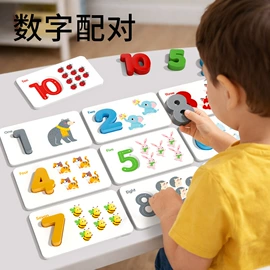 拼图、拼板;其他益智玩具;科教玩具