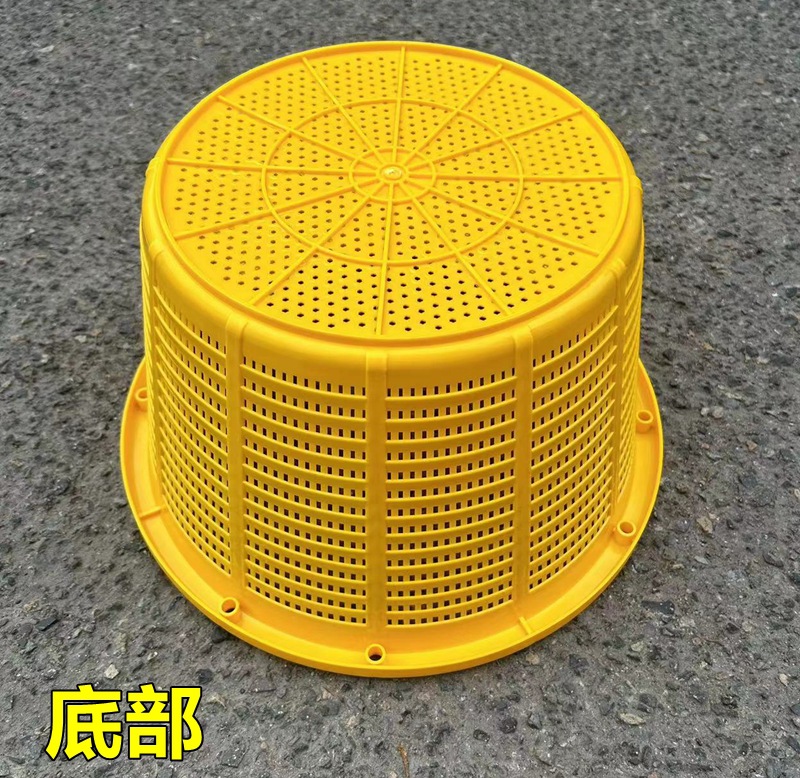 黄色.jpg