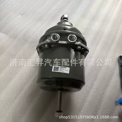 WG9000360910 Rear – Other walking systems