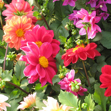 СNļ_׻СջNͥԺ⻨N̨Ի