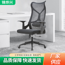 ���w���W�������D�T���k������X�ξ��������k�����T�W�����h��