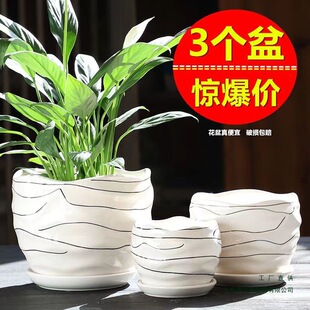 �����մɎ��бP��̖�ش󺆼s��ɫ���Ä���G�}С���⻨��