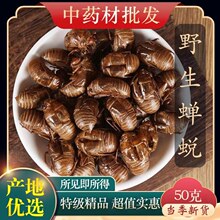 中药材特级野生蝉蜕50克金蝉衣新货知了皮虫退蝉退壳水洗无泥四川