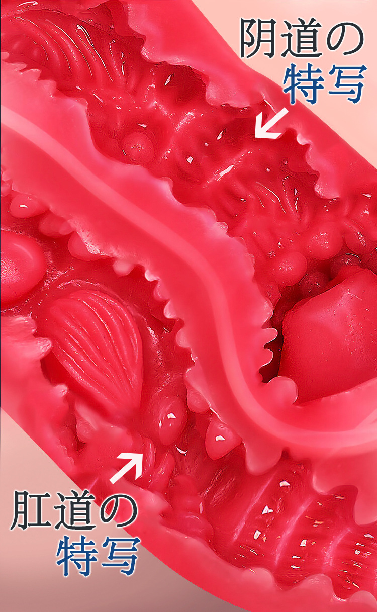 Male Masturbation Inverted Mold Half-Body Buttocks Toy in TPE, Manual Use, Flesh Tone — detail image 23