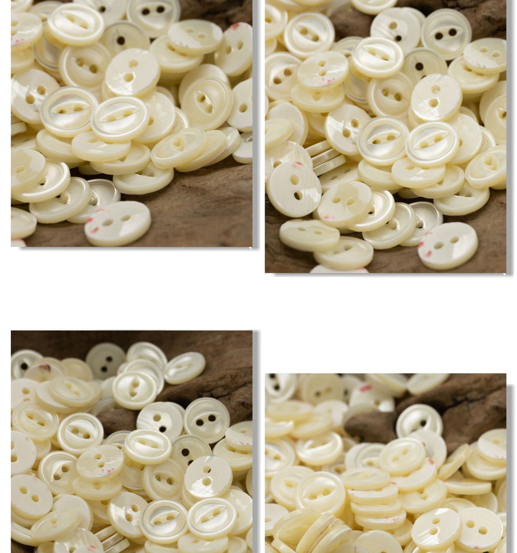 贝壳_05.jpg