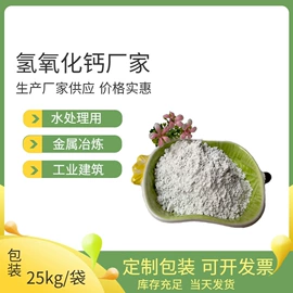 其他非金属;其他颜料;非金属粉末