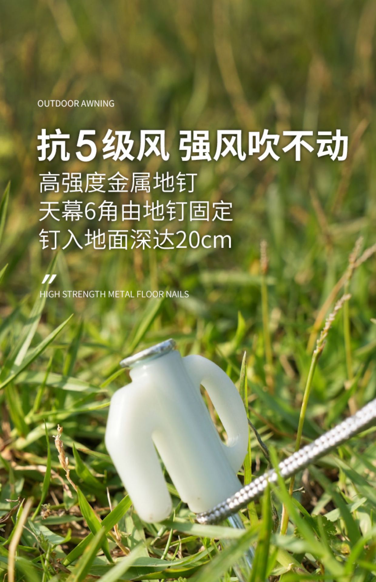 详情页10.jpg