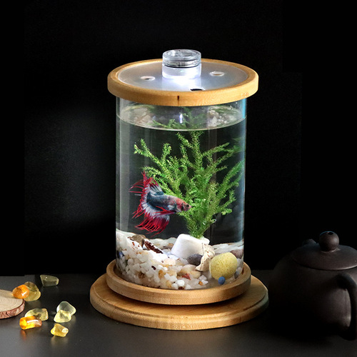 Miniature Small Desktop Ecosystem Bottle Creative Office Tempered Glass Micro Scene Tank Bedroom Rotating Betta Fish Tank