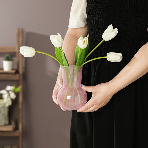 Nordic INS minimalist light luxury glass vase decorative high-end fresh flower arrangement vase home desk decoration item