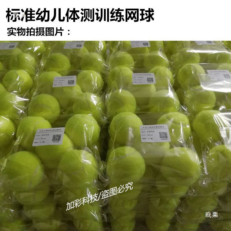 儿园体质测试网球 标准6cm体能训练普通用球幼儿园网球掷远