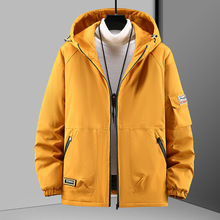 2025�Ӵ�a��ʿ�޷������ﶬ��ɱ�ů�����Bñ���������e�ӷ�