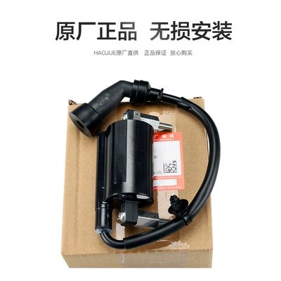 Alovlandırıcı (Vozduşka/İqniter) GW DL250 DR300 ignition