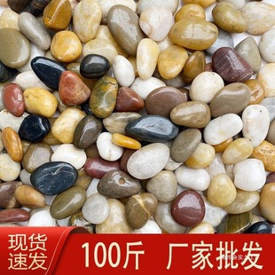 100����Ȼ�Z��ʯ�·䁵�ͥԺ���@�쾰�껨ʯ��Сʯ�^�����Zܛʯ