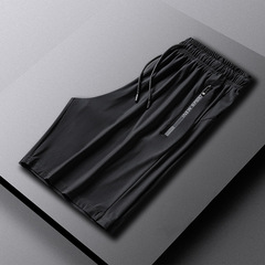 Summer Ice Silk Short Shorts for Men and Women, Elastic Breathable Quick-Dry Pants, Plus Size Five-Finger Shorts for Running, Sports, and Fitness, Logo Printable