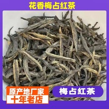 头采梅占红茶金骏眉正宗武夷山花果香茶叶浓香桐木金俊眉散装500g