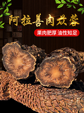 肉苁蓉整根内蒙古阿拉善油苁蓉沙漠人参配锁阳整根枸杞玛咖淫羊藿