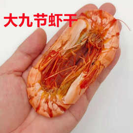 烤虾虾干对虾干九节虾干斑节虾干新鲜大虾干福建海鲜干货海产干品