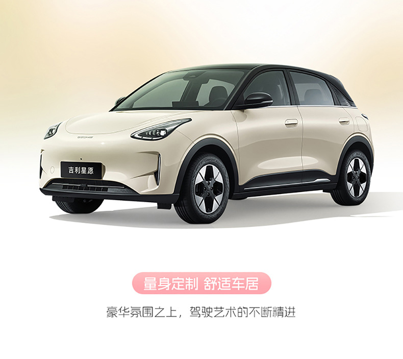 Suitable for 2025 Geely Star Wish Seat Cover, Fully Enclosed Four-Season Special Seat Cover, 24 Models of Interior Car Cushions