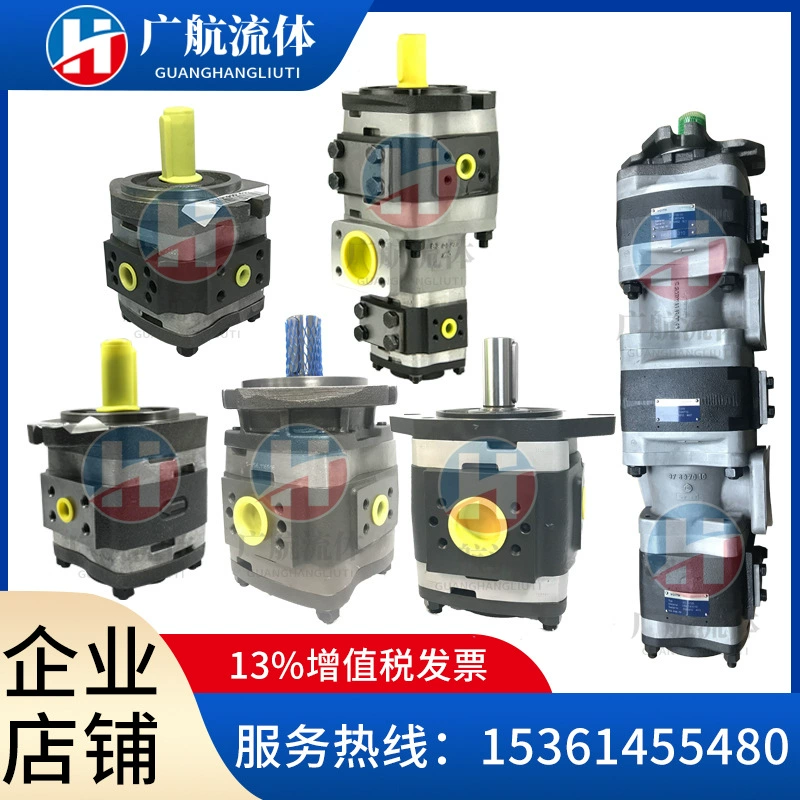 VOITH Voith IPC/V5/4-50/13 401 IPC5/-50/ 101 серия IPV/4-/13 масляный насос