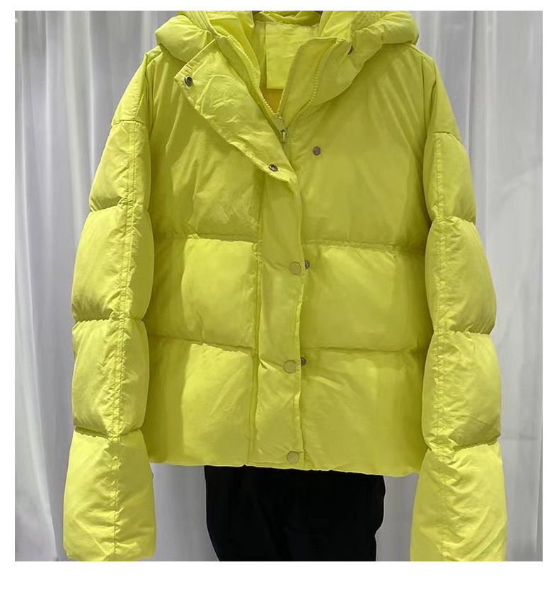 Dames winterjas kort gevoerd losvallend model met capuchon_voghion.com