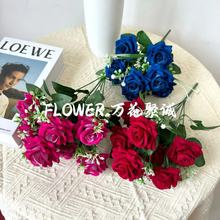 ����õ��7�^�����q��õ�� ���滨�����ػ���Y�Ҿ��b����l�ٻ���