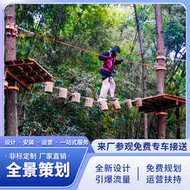 户外大型景区丛林穿越拓展设备亲子闯关公司团建网红游乐项目厂家