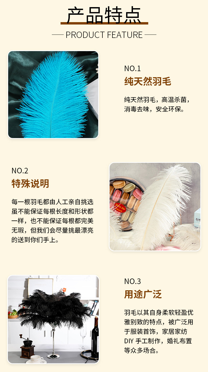 鸵鸟毛_03