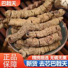 ����� �o��oѬ��о�����ɢ�b�͙C������r�aƷ150�����l���l