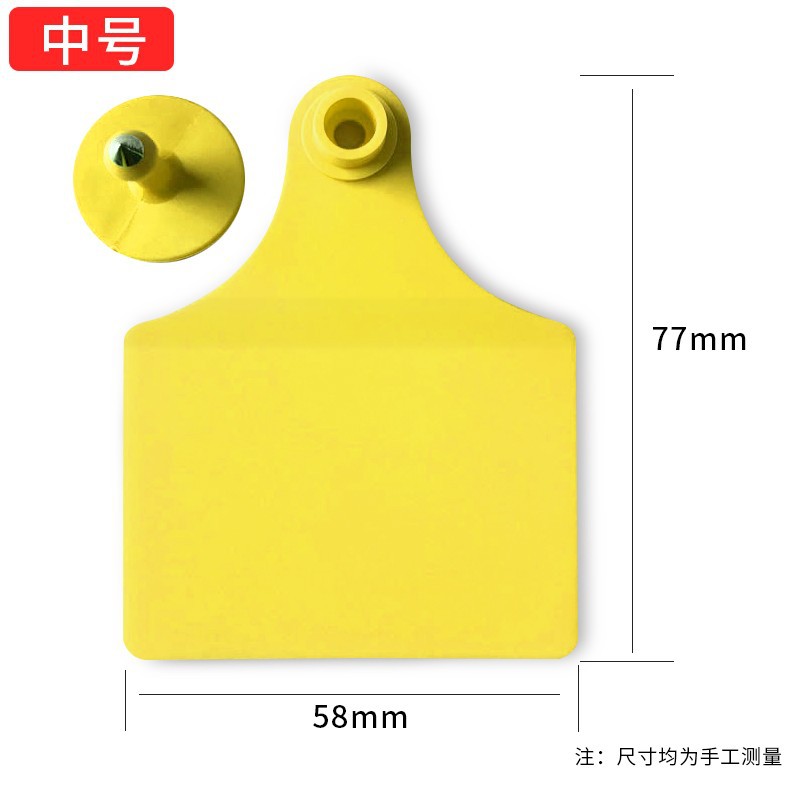 Medio dividido en blanco amarillo