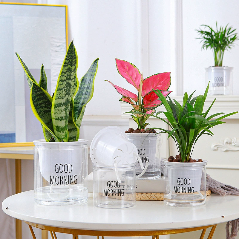 Автоматический абсорбирующий прозрачный ленивый таз заводской прямой творческий круглый офисный Настольный Зеленый завод гидропонный пластиковый цветочный горшок