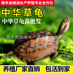 �������l���A�����𾀲������w������С�����������L����