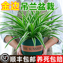 ��߅���m����ˮ��ֲ���҃ȳ���ȩ���B���ܴ����Gֲ��͏d�������l