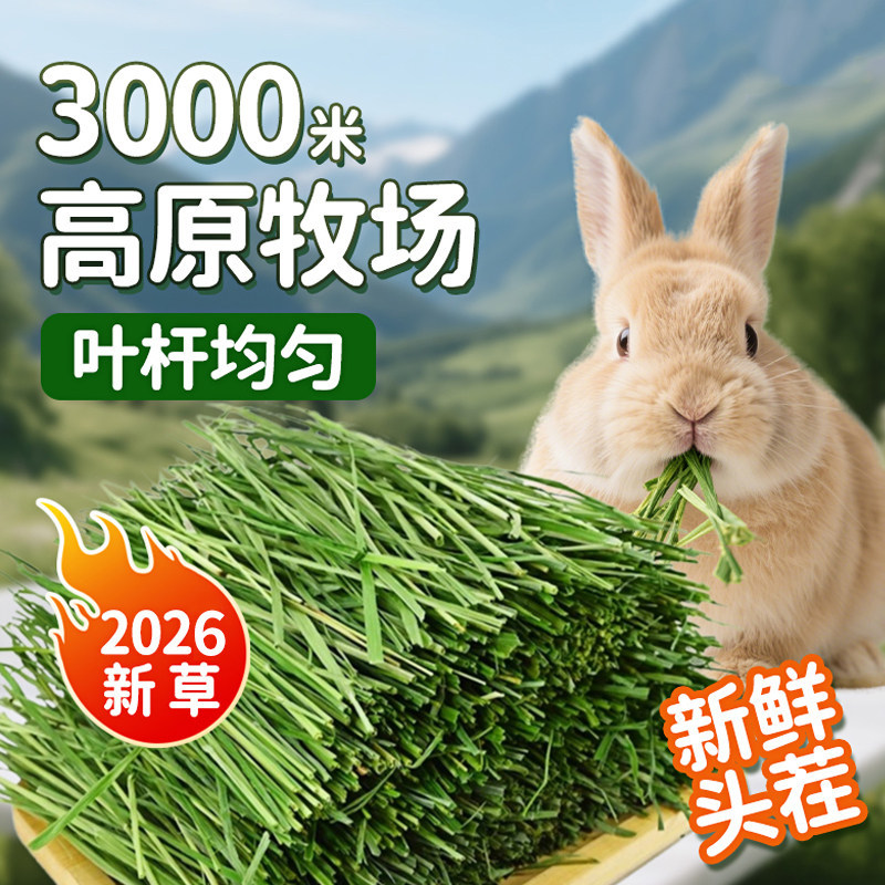 26年新烘干提摩西草段北提草兔子干草粮兔饲料龙猫荷兰猪豚鼠牧草