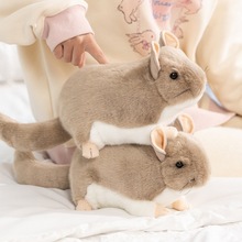 �ɐ۷�����؈����ë�q���С�}����ż��ͯ��鰲�᲼�������նY��