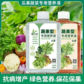 花盆容器;营养液;花盆装饰