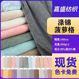 现货涤锦菠萝格绒布鞋帽针织面料服饰浴巾玩具绒布布料布匹整批