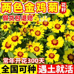 ��ɫ���u�շN�ӽ��X����Ŀ���ļ����N�����G�����ܷN����ͥԺ����