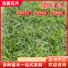 ���~���������� �ͺ�ͥԺ��ľ�@�־G���G����ƺ ��������ѿ������