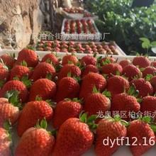 ��ݮ���d���b/��ݮ���b���d/��ݮ�к��d/��ݮ����ĭ/��ݮ���d�|