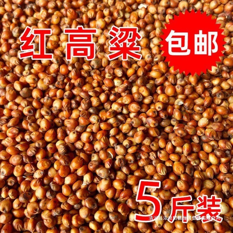 高粱米红高粱去壳带皮新高粱酿酒高粱酿醋喂鸽子饲料红高粱等外