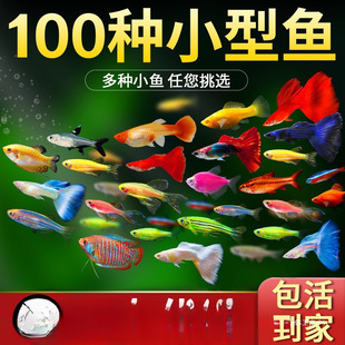 С�͟Ꭷ�����~�~��̖�^�p�~��ˮ���B�ͻ��ȸ�~�������