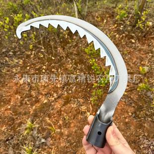 �S�����l�����X�� ����� ��֦� 砵� 䏘䵶 �r�� ���P���X