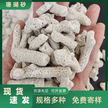 珊瑚骨造景珊瑚石海洋馆过滤材料调节水质用珊瑚砂钙质砂造景砂