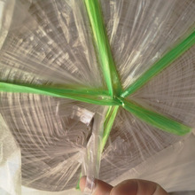 �S��ֱ���ߏ���ȫ���������K˺��Ĥ����K ���������b�����KE18