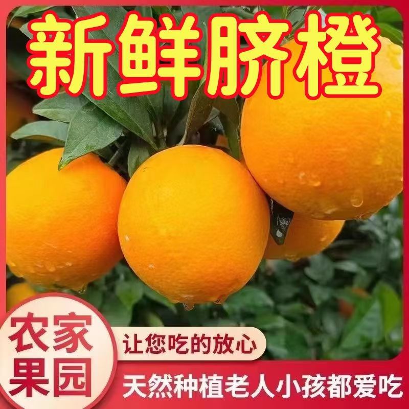 现摘现发赣南纽荷尔脐橙甜橙新鲜橙子全年供应秭归脐橙奉节脐橙