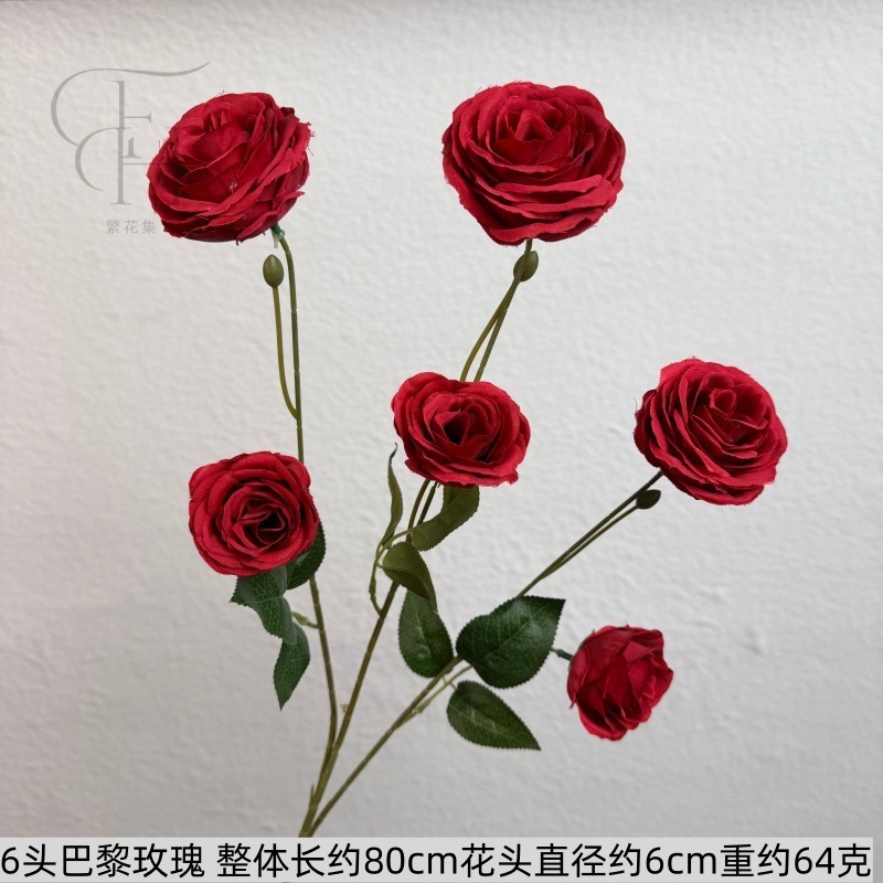 6 rosas parisinas