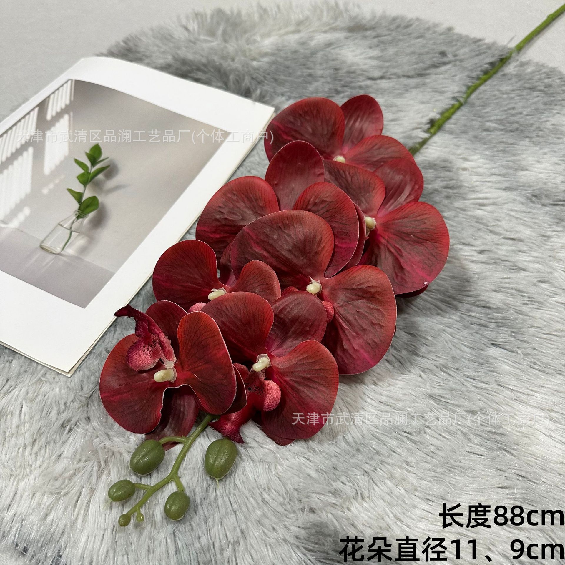 3D 필름 7두 호접란
