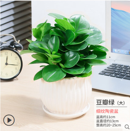 벽옥[백색 세로무늬 도자기 세면대]