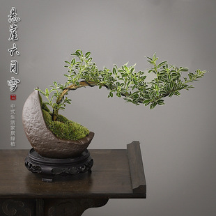 ����ѩ�辰���²����U���҃ȴ�̨С�Gֲ���k���Ҳ�ה[����������