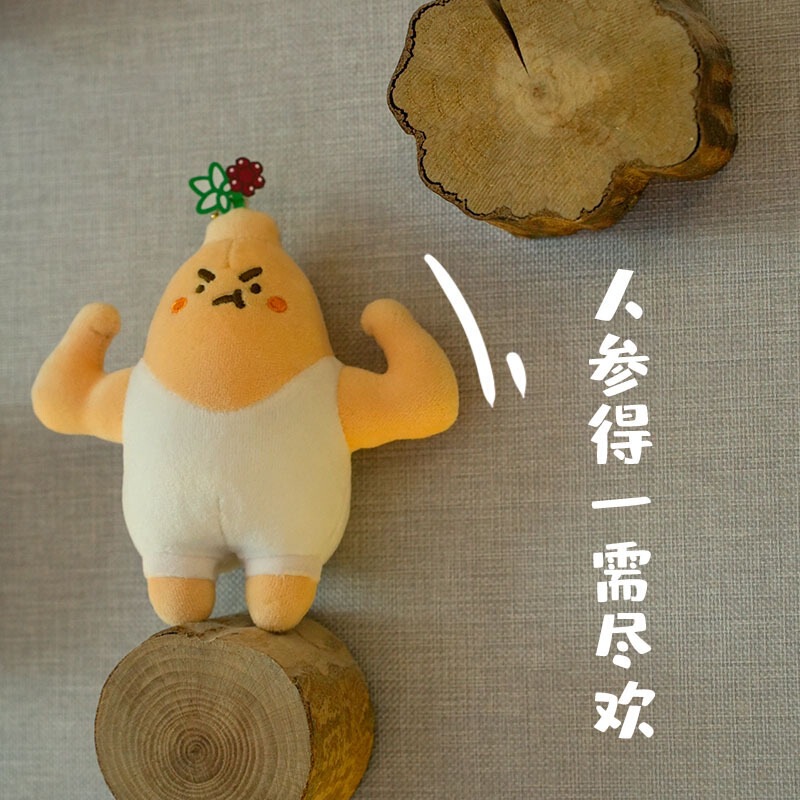 本草纲目新款玩偶中药铺本潮玩公仔灵芝包包挂件钥匙扣新毛绒玩具|undefined
